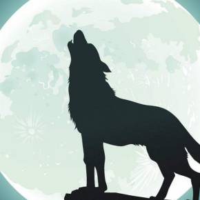 关于读《生命永无止境，折磨永无止境》的思考