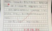 三年级作文太阳花