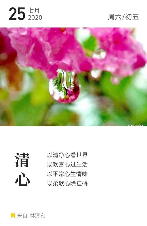 阅读完屏幕上的小语言