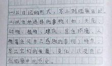 有关打雪仗的作文