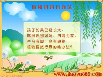 植物母亲有办法写作