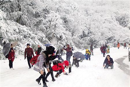 打雪仗初中作文