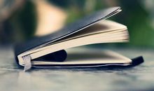 海豚湾纪录片观后感