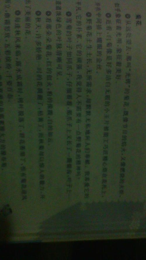 菊花三年级组成