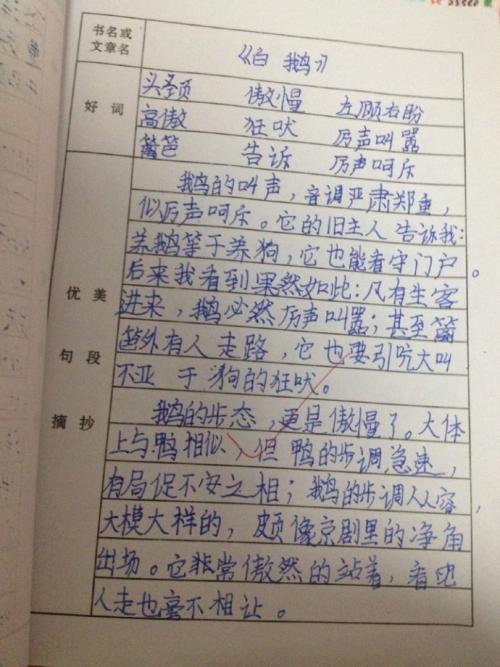 看完小学三年级后