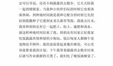 乡村四季作文300字