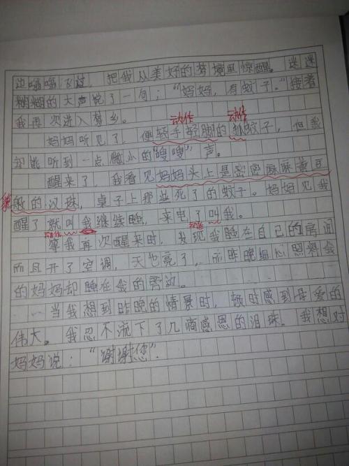 三年级的父母爱作文500字