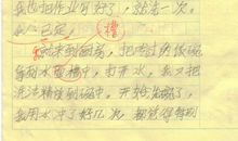 作文第一次洗碗