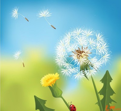 大学生：不要在床上为未来做计划