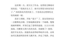 三年级洗碗作文