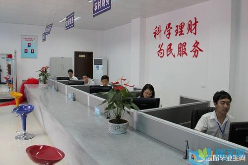 财政局实习日记