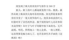 30年后的我初中作文