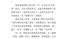 第一场雪作文400字