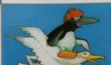 爱心企鹅读后感