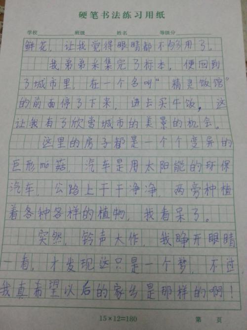 十年后在我的家乡有100个字