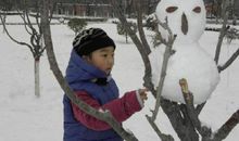 第一场雪小作文