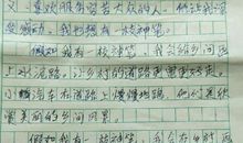假如我有一匹马作文450字