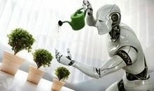 未来的机器人作文500字