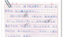 冬天的第一场雪作文