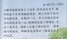 五年级窃读记的读后感