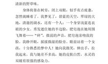 假如我有一匹马作文800字