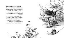 背着房子的蜗牛读后感