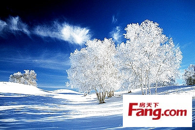 这个冬天的第一场雪