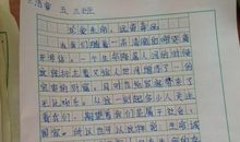 三年级元旦作文