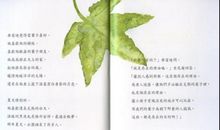 最后一片树叶读后感