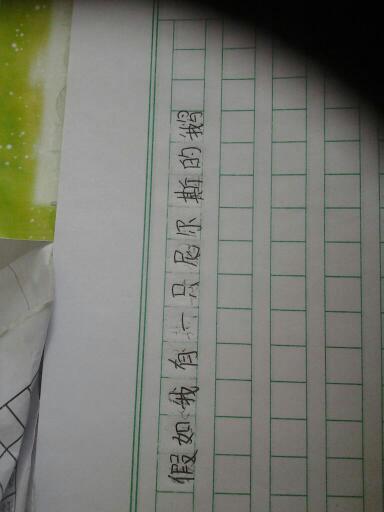 假设我有一匹马写600个字