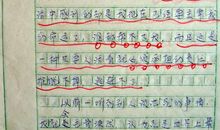 下雪了作文600字