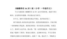 一年级夏天的作文