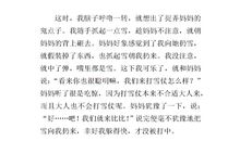 描写打雪仗的作文