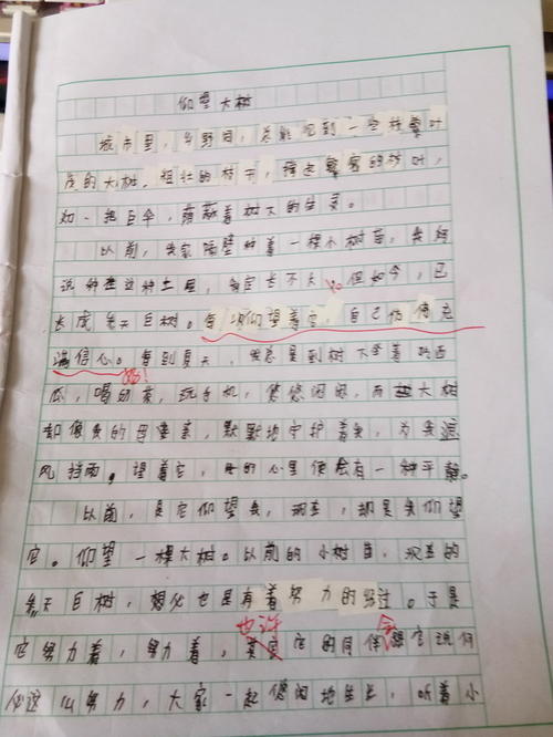 体验风雨的成分