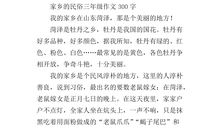 家乡民俗作文
