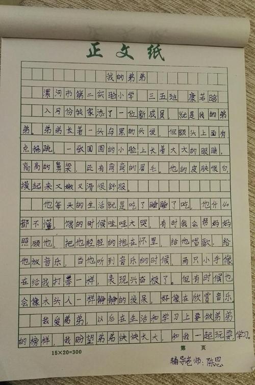 我的兄弟作文350字