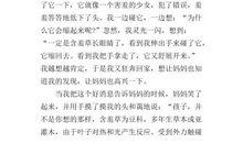 含羞草观察作文