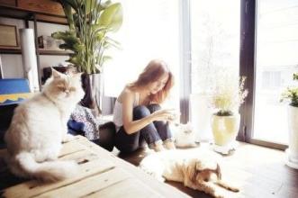 有一种被称为独自行走的魅力