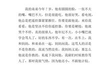 我的弟弟作文200字