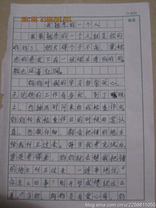 我心中最美丽的人