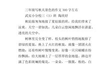 秋天景色作文300字