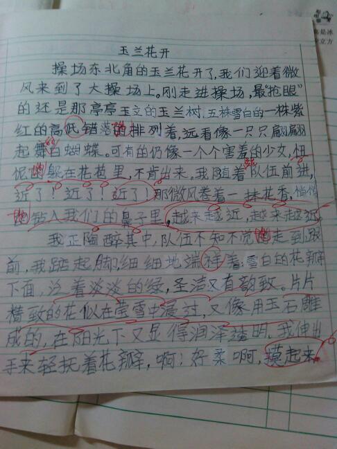 “ Little Hero Rain”的450字缩写