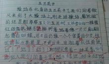 小英雄雨来缩写450字