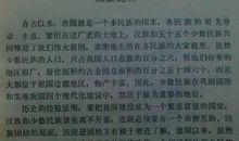 傣族的风俗习惯作文