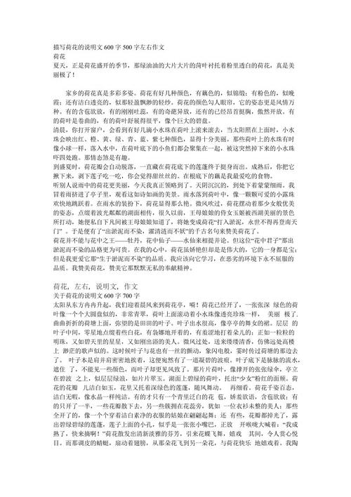 自我介绍作文500字
