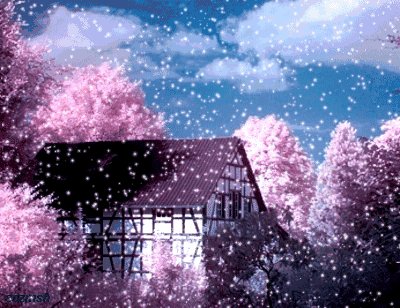 看完路上的风景