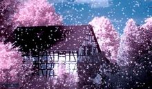 路上的风景读后感