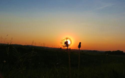 用英语描述别人的幸福