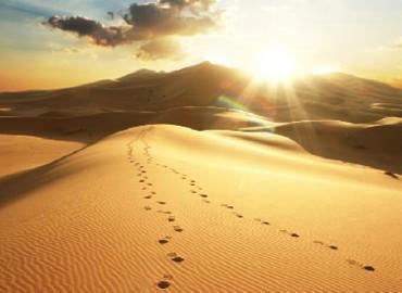 循序渐进励志句子励志名言[47句子] 1