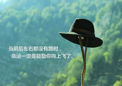 一句美丽而鼓舞人心的句子很简短：只有成功，您才能体会生活的辉煌